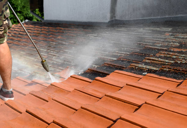Best Pressure Washing Near Me  in Westminster, CO