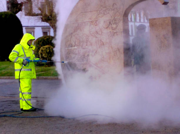 Best Roof Pressure Washing  in Westminster, CO